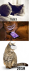 new age.PNG