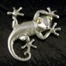 SilverGecko